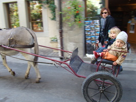2008 10-Donkey Cart Yvoire France